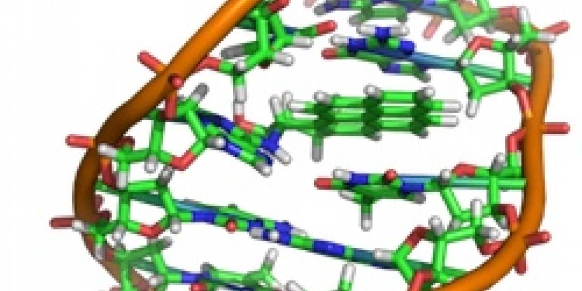 Científicos de IBM construyen chips a partir del ADN