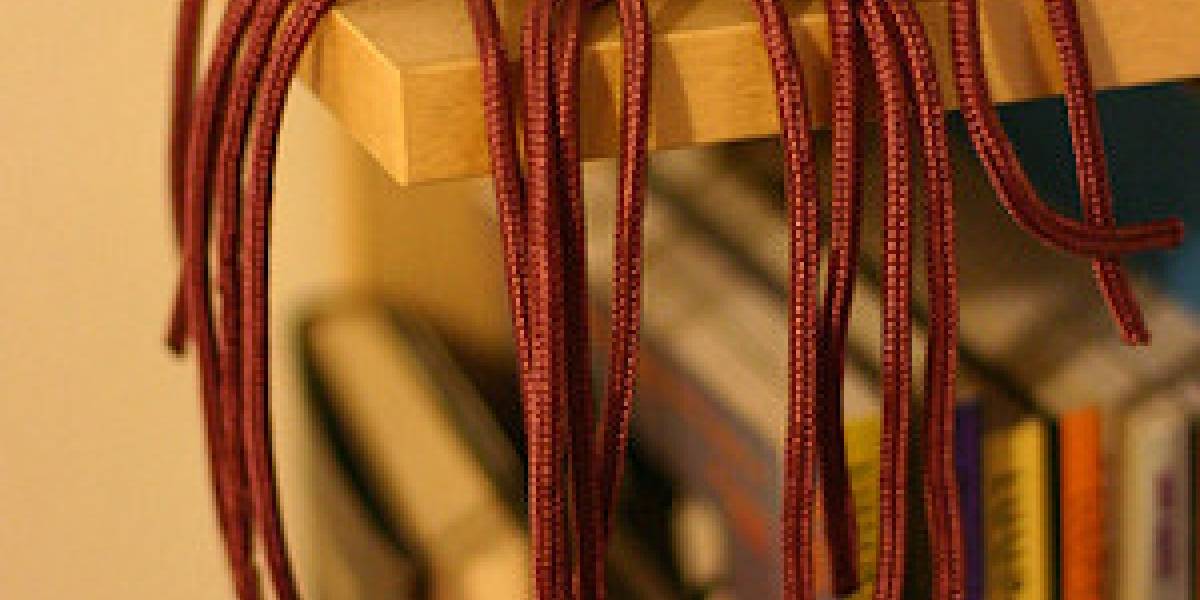 PC biológico: Mis bacterias son más rápidas que tu computador