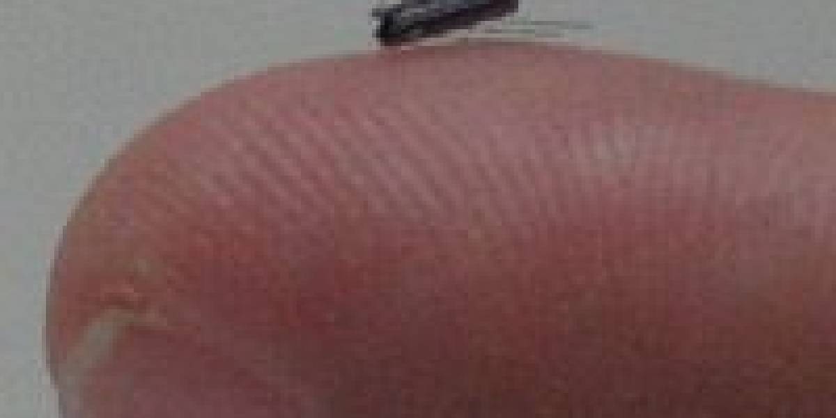 Crean robots capaces de reptar por nuestras venas