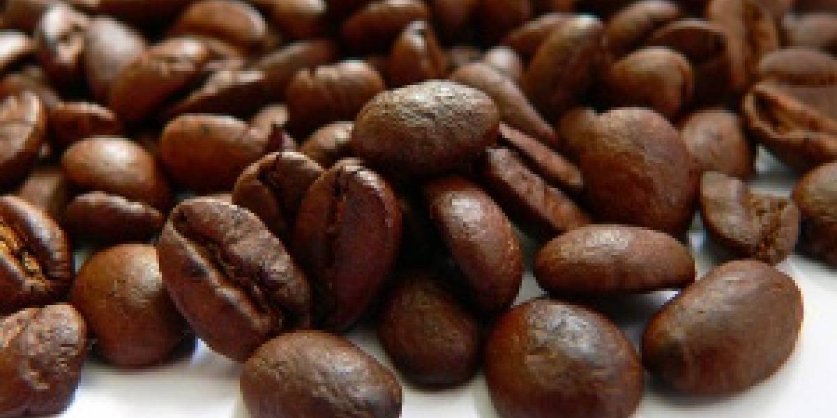 Caffeine: La nueva generación del buscador de Google