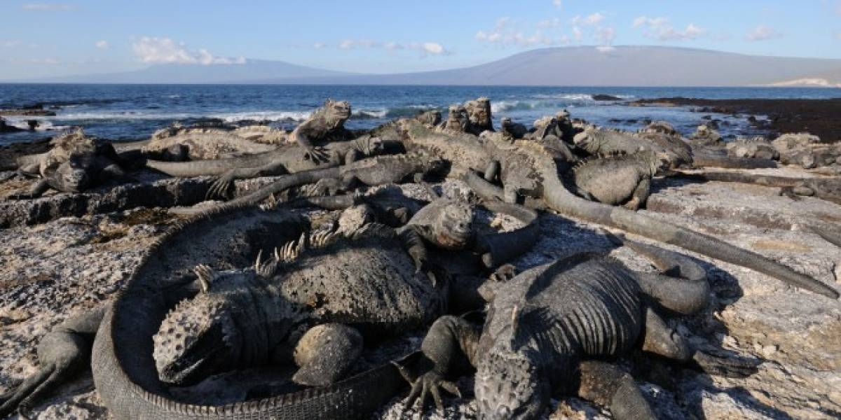 Galápagos tendrá Internet gratis