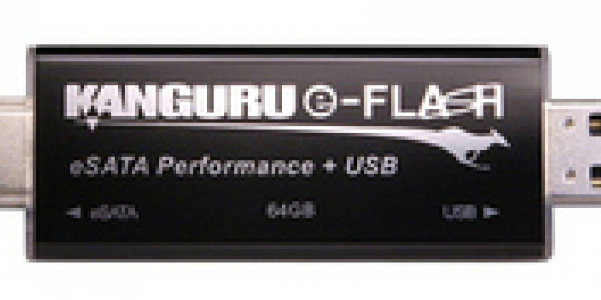 Kanguru eFlash: Memoria USB de 64GB + eSATA