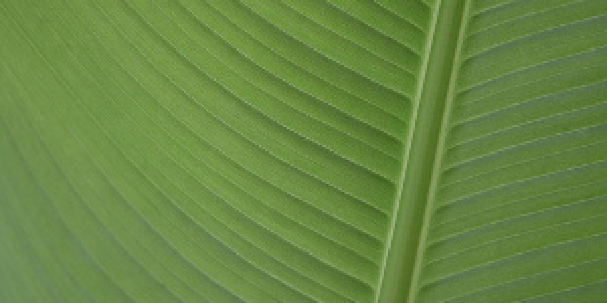 Una forma fácil y bonita de colaborar con Ubuntu