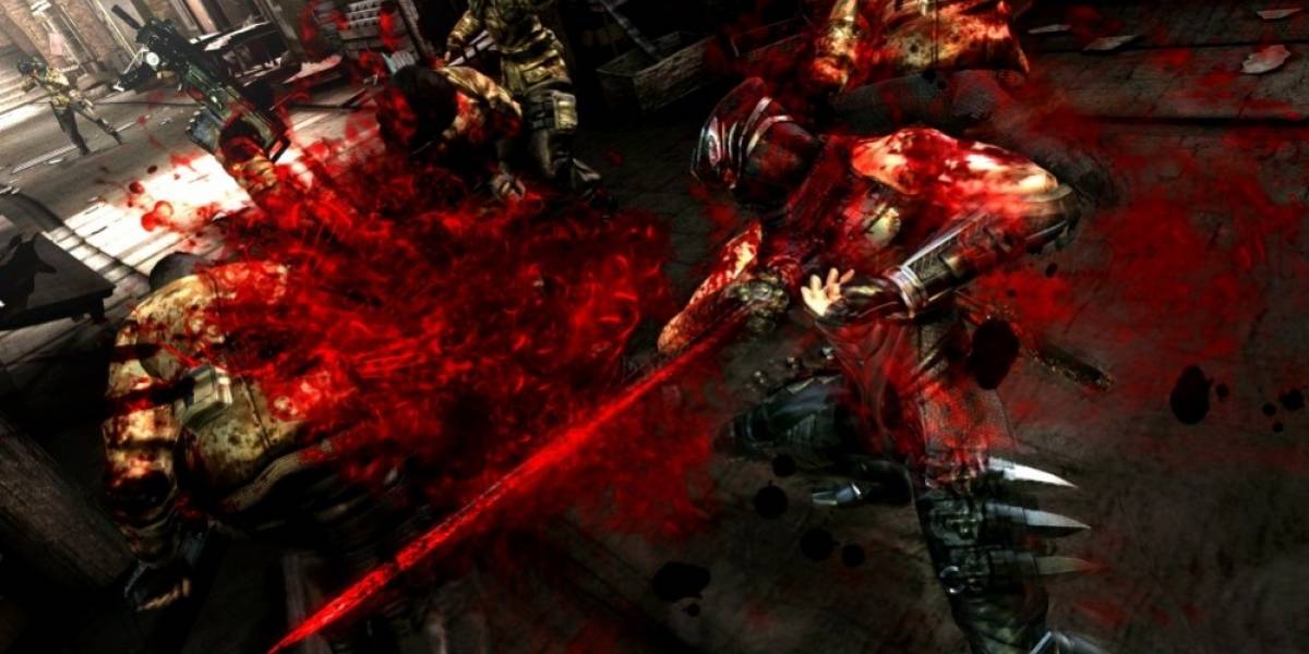 En el Team Ninja quedaron sorprendidos por las reacciones de la gente a Ninja Gaiden 3