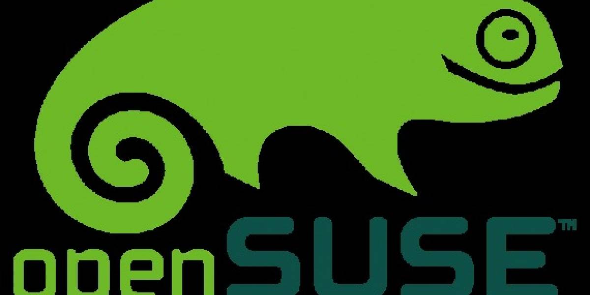 Encuesta OpenSUSE 2010