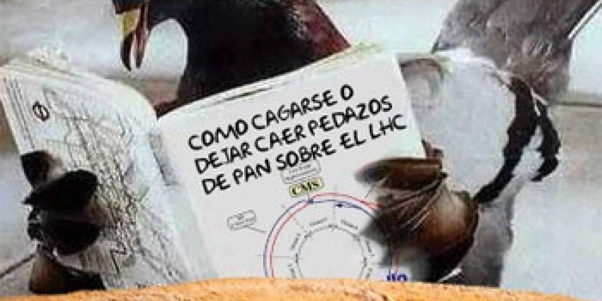 El Gran Colisionador de Hadrones es saboteado por una paloma