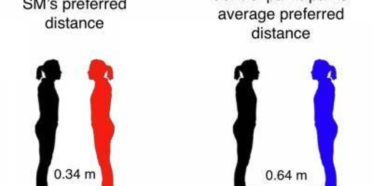 Identifican zona del espacio personal en el cerebro