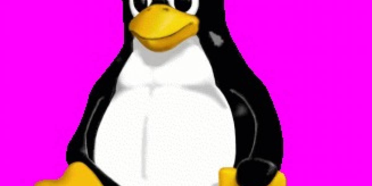 Se confirma nueva versión del núcleo de Linux para marzo