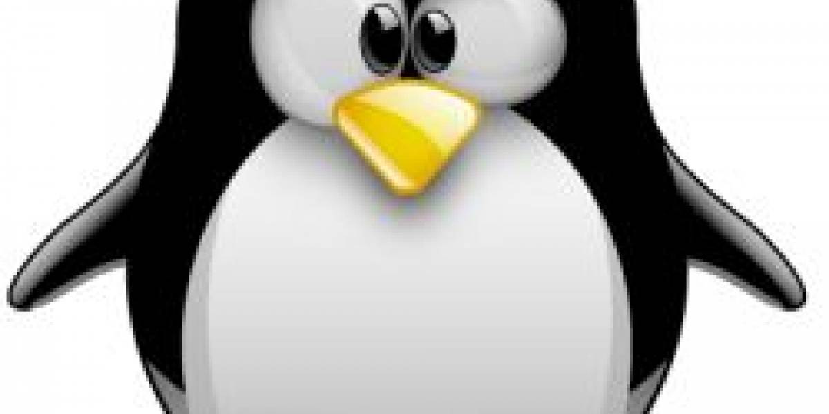 Linus Torvalds dijo que Linux está "hinchado y enorme"