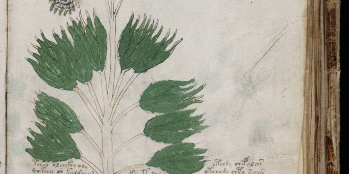 Manuscrito Voynich posiblemente decodificado