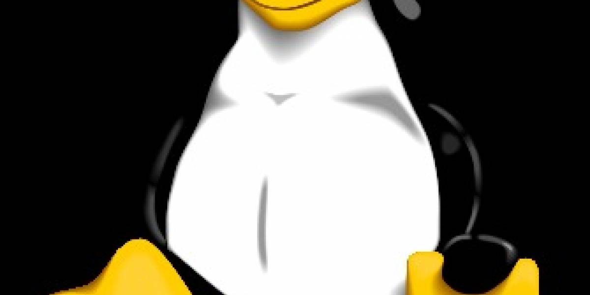 Linus Torvalds anuncia la versión 2.6.35 del kernel de Linux