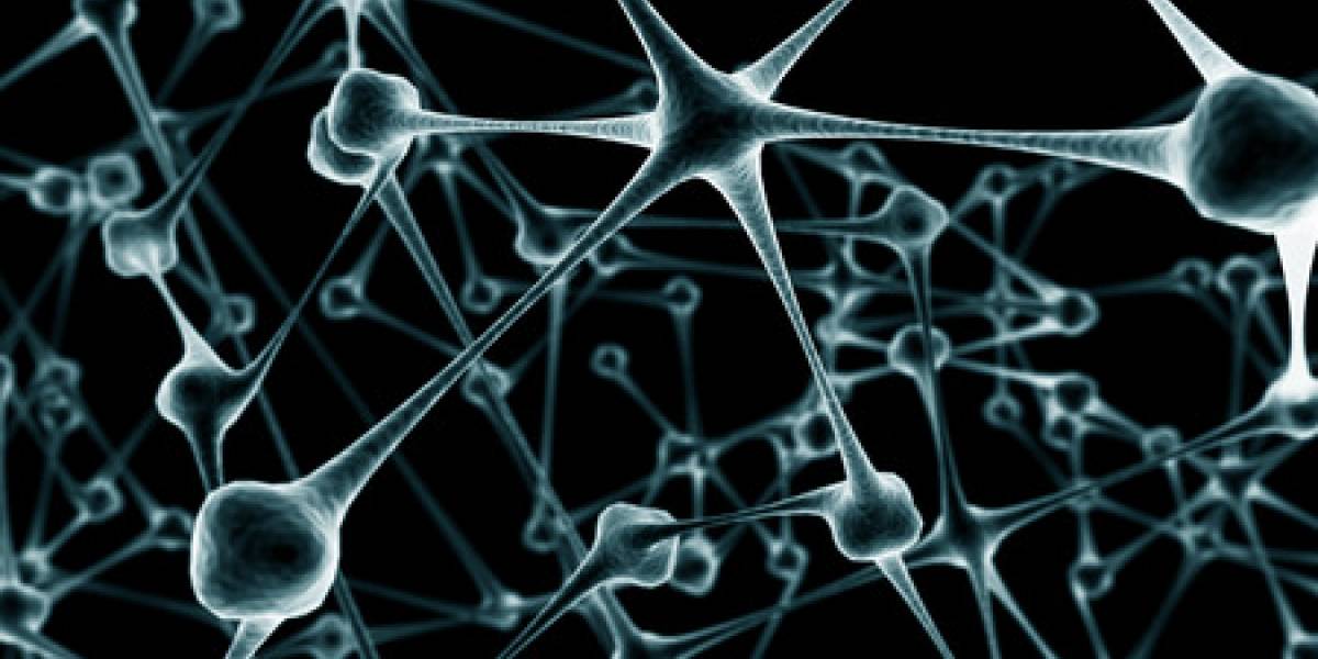 Funcionamiento del cerebro parecido al de Internet