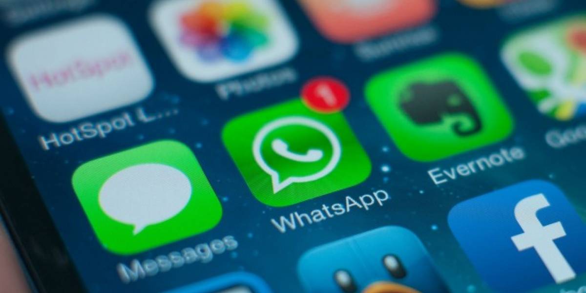 WhatsApp ya informa cuando alguien leyó tu mensaje
