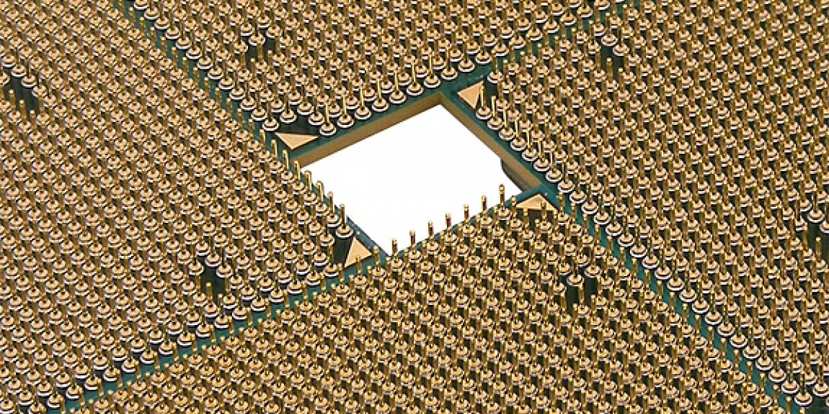 Cuatro nuevos AMD Athlon II