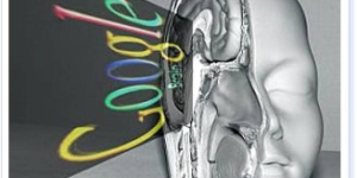 Las búsquedas en Internet son buenas para el cerebro