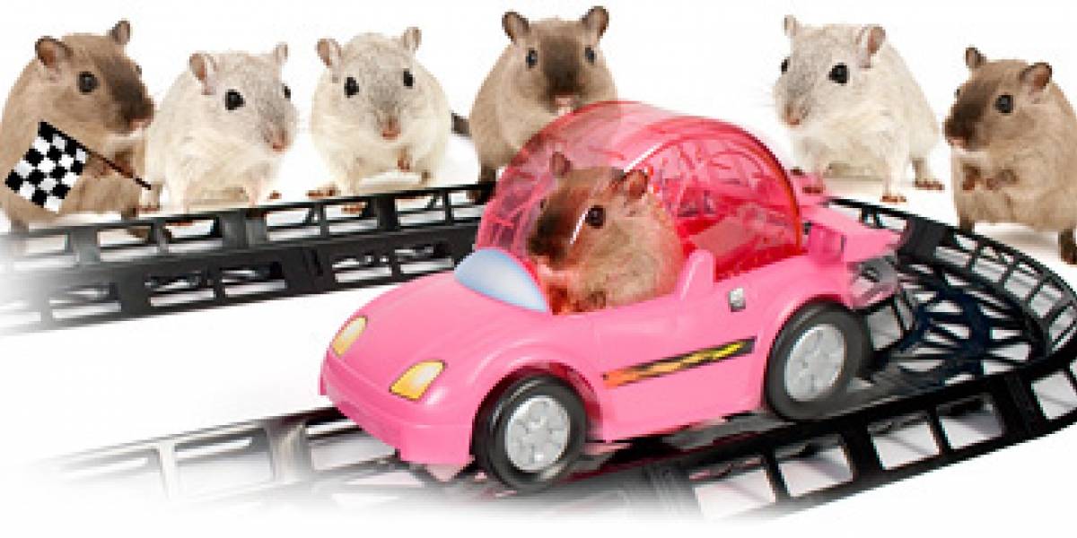 Impresentablemente tierno: Auto de carrera para hamsters