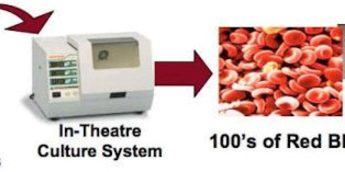 DARPA quiere cultivar células madre para obtener sangre para sus soldados