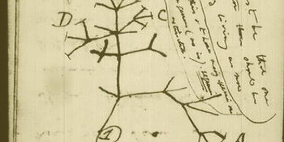 Imperdible: Más de 100.000 manuscritos de Darwin disponibles en Internet
