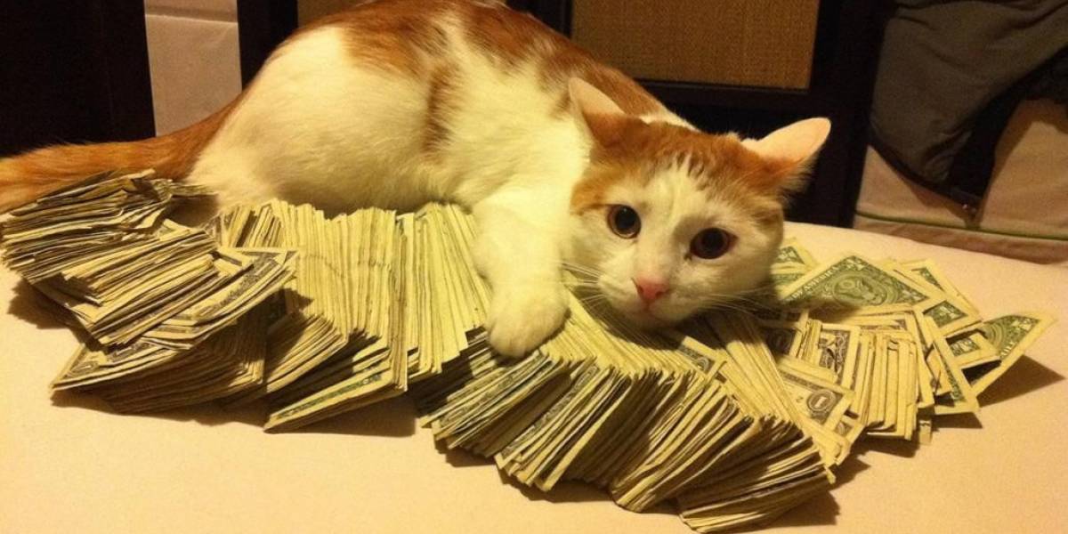 ¿Cómo comprar con CuentaRut en Steam?