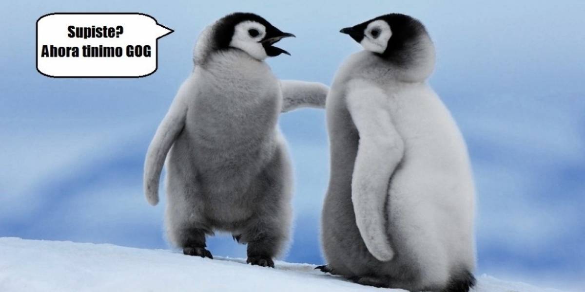 GOG.com ya tiene soporte para Linux