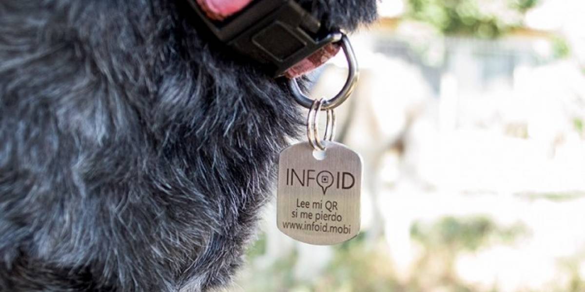 Info ID: Identifica mediante código QR y encuentra tu mascota perdida
