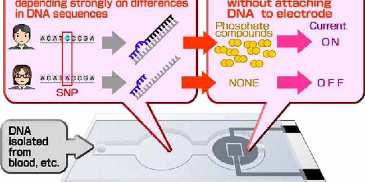 Panasonic identifica características del ADN