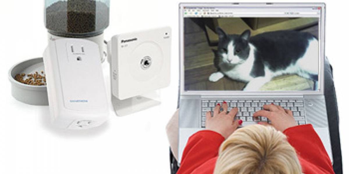 Alimenta a tu mascota automáticamente y de forma remota