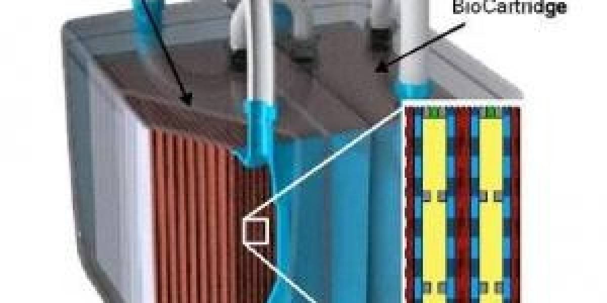Científicos desarrollan el primer prototipo de riñón artificial implantable
