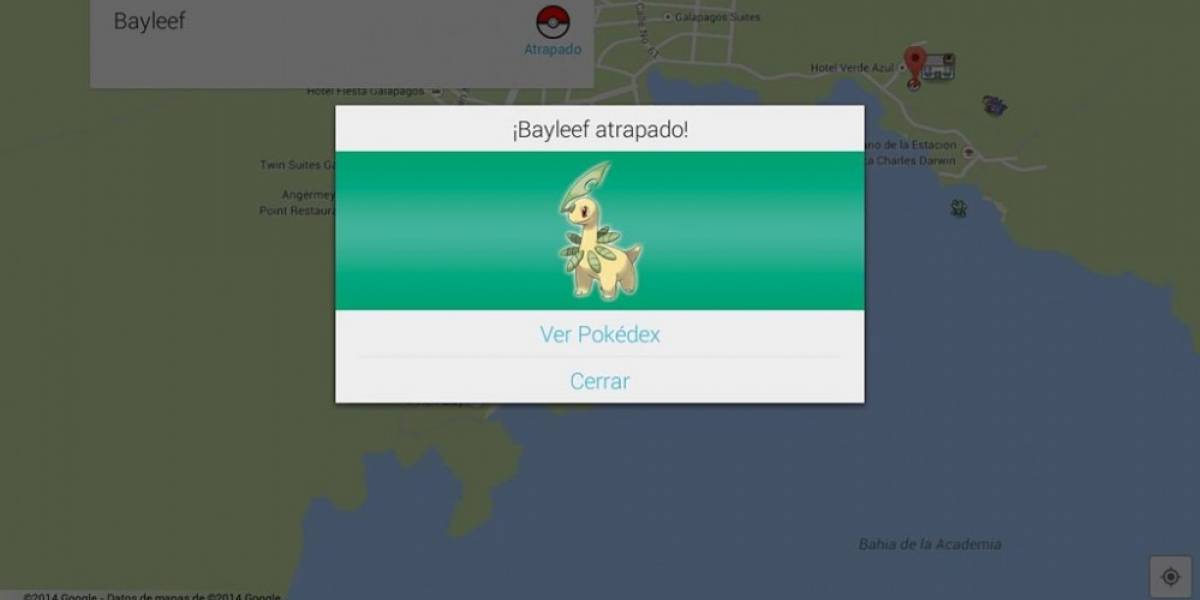 Google quiere contratar al mejor maestro Pokémon