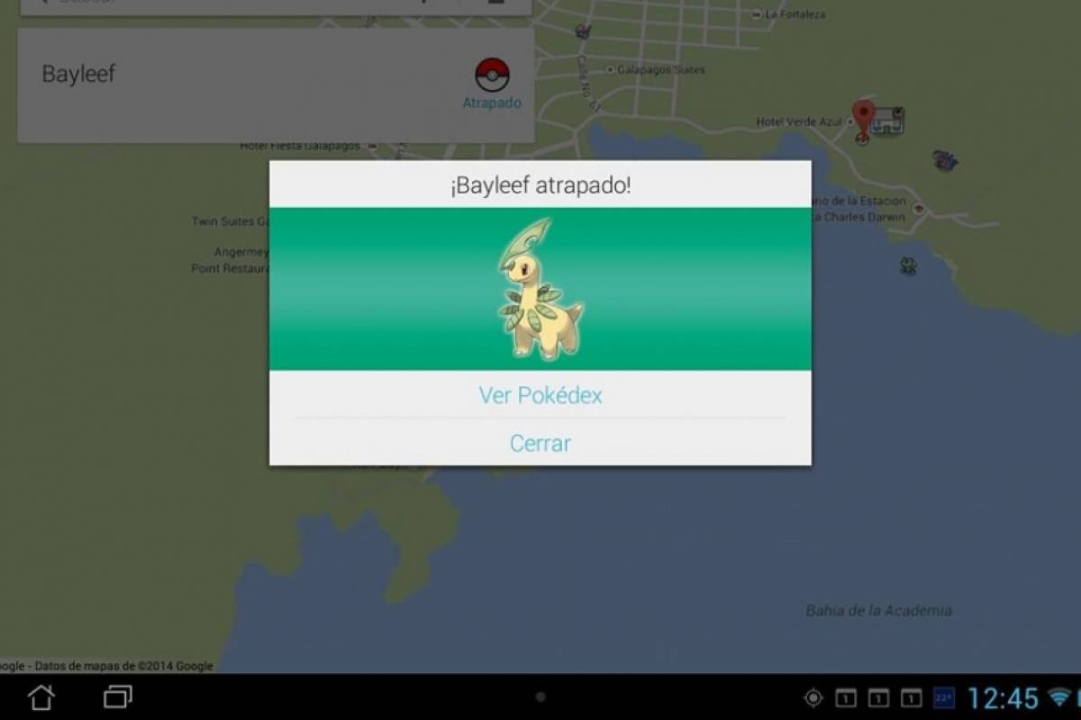 Google quiere contratar al mejor maestro Pokémon