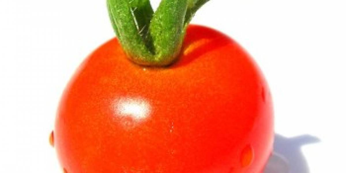 Con tomates modificados genéticamente esperan detener el cáncer