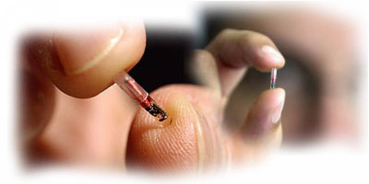 Xega promueve cambios en chips subcutáneos de geoposicionamiento