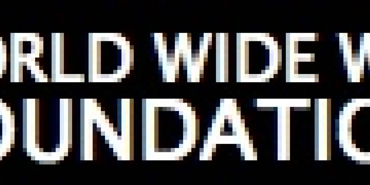 World Wide Web Foundation: Una fundación que quiere que la web sea para todos