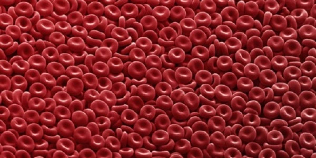 Células madre servirían para crear sangre de tipo "universal"