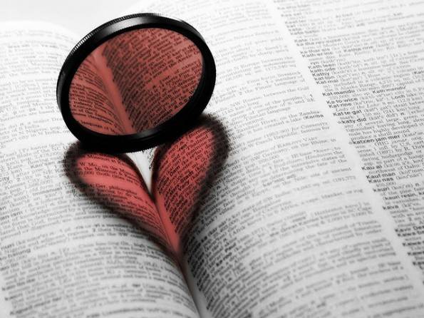 amor amor