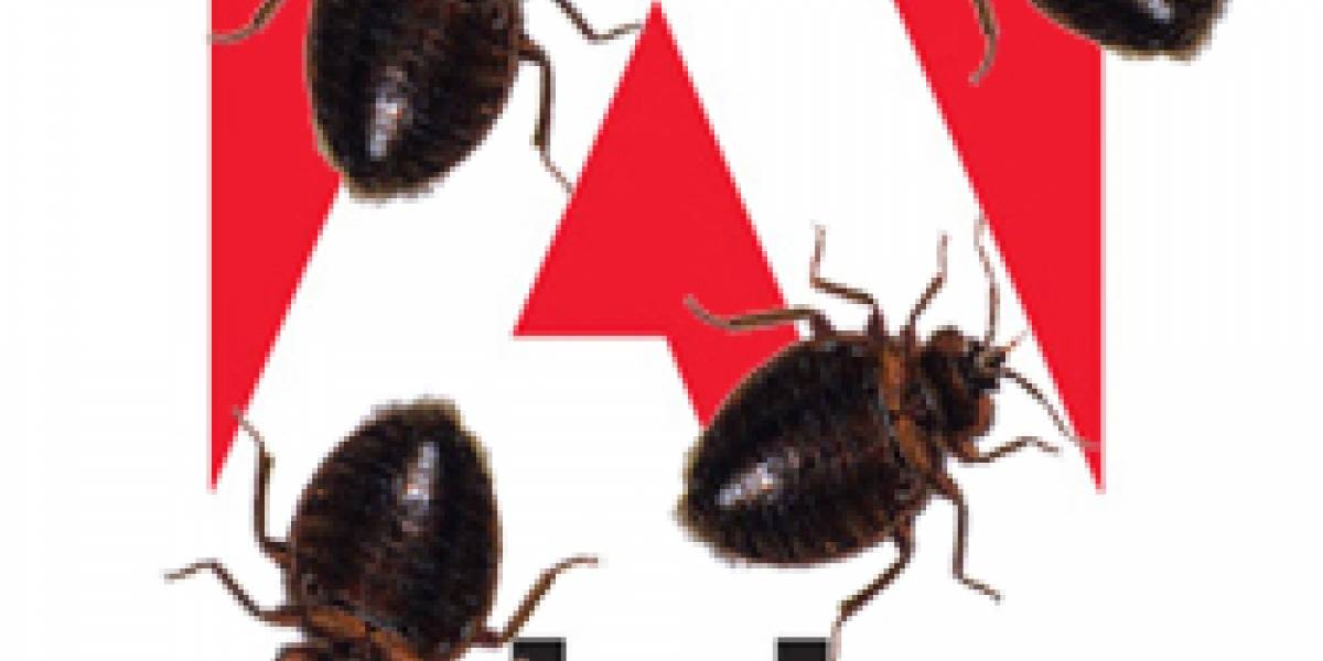 Adobe sería el protagonista de las mayores fallas de seguridad del año