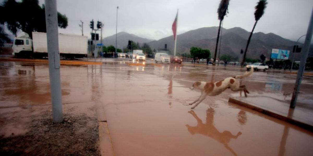 Claro Chile recargará minutos, SMS y acceso a redes sociales gratis para el norte del país