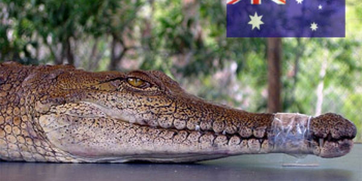 El gobierno de Australia filtrará la Internet