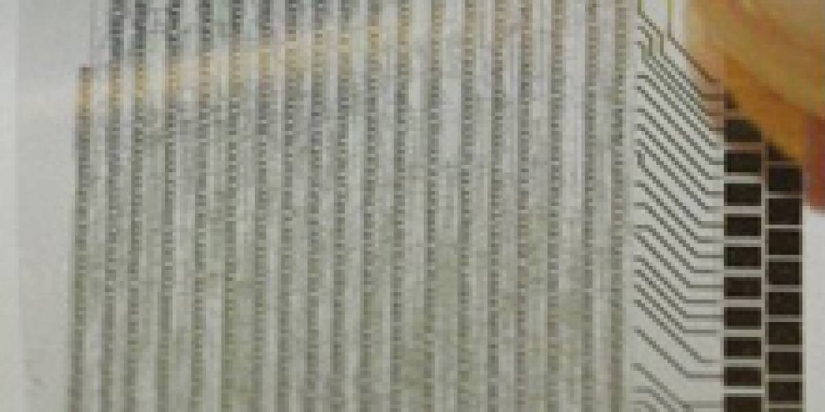 Microprocesadores de plástico y memorias impresas