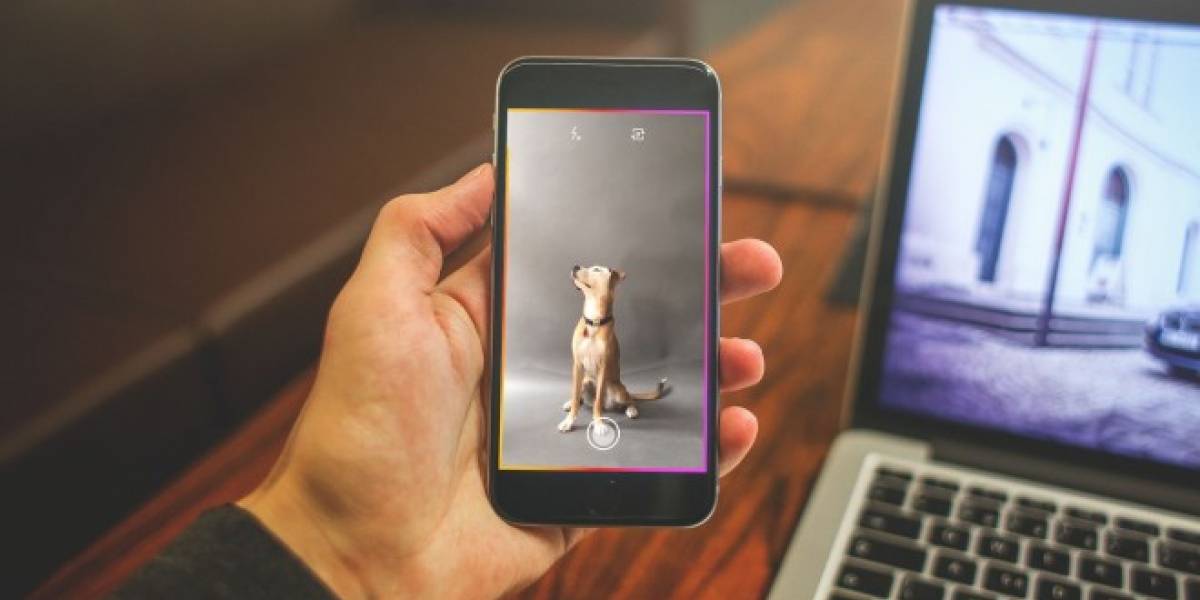 DSCO permite crear GIFs animados con filtros hipster