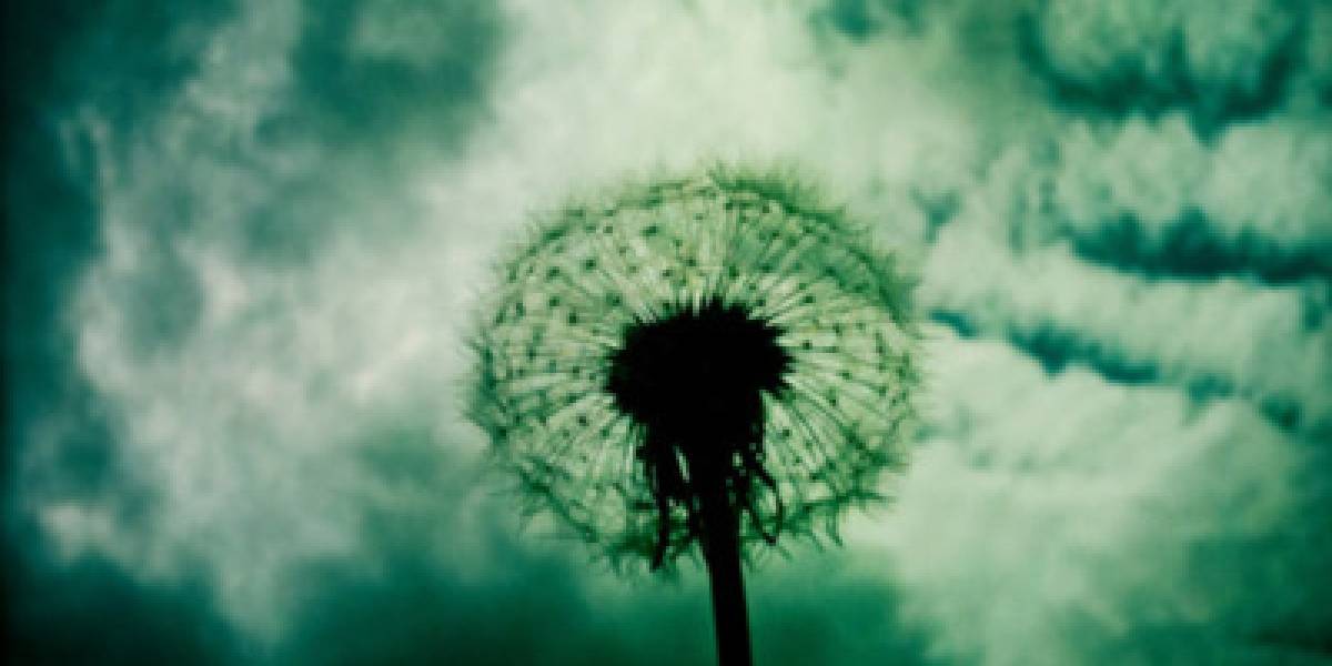 España: Eyephoneography, arte 'móvil'