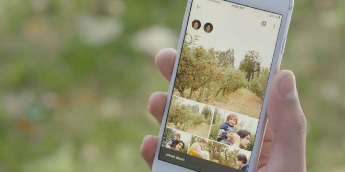 Ya puedes compartir tus álbumes en Google Fotos