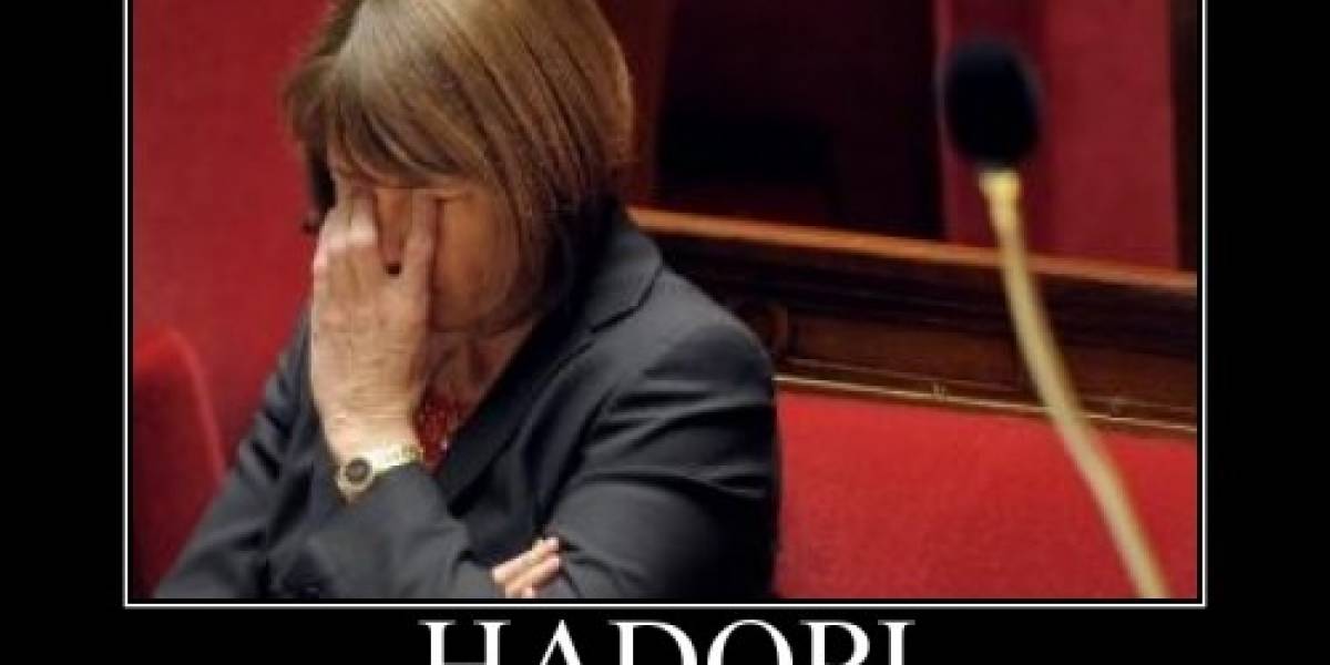 Ley Hadopi ha rastreado a 18 millones de piratas informáticos en Francia