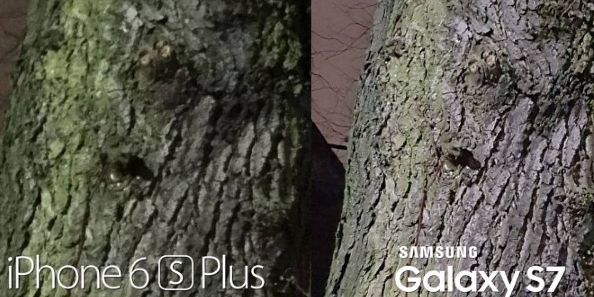 iPhone 6S vs Galaxy S7: ¿Cuál tiene la mejor cámara?