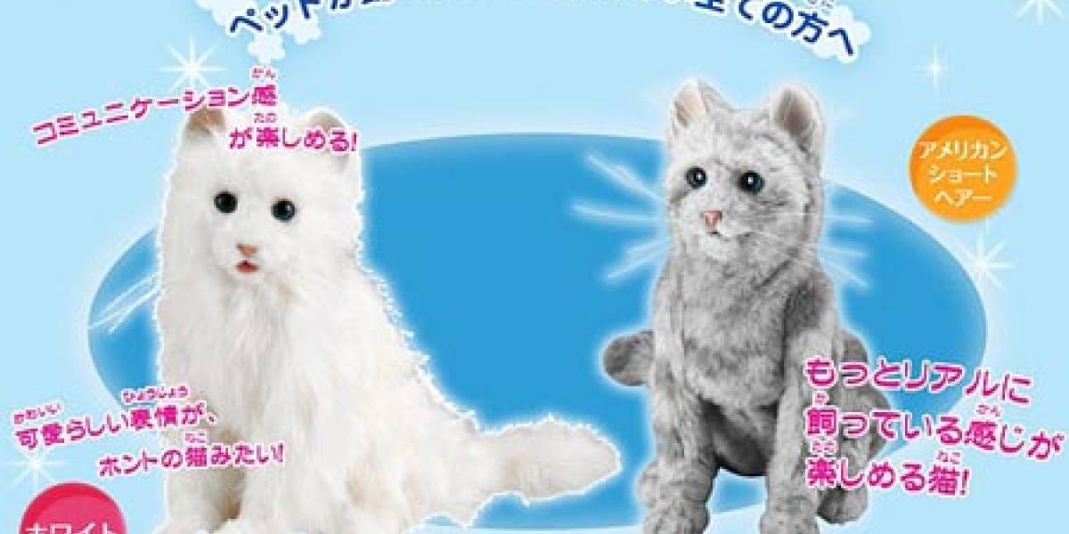 Gato robot: super tierno, super limpio, super freak