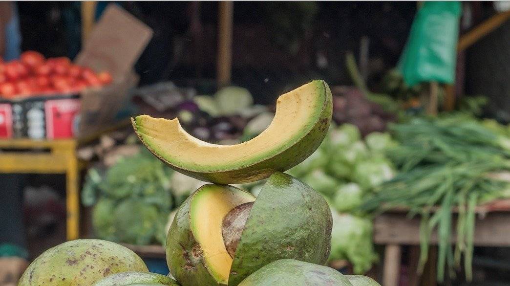 aguacate