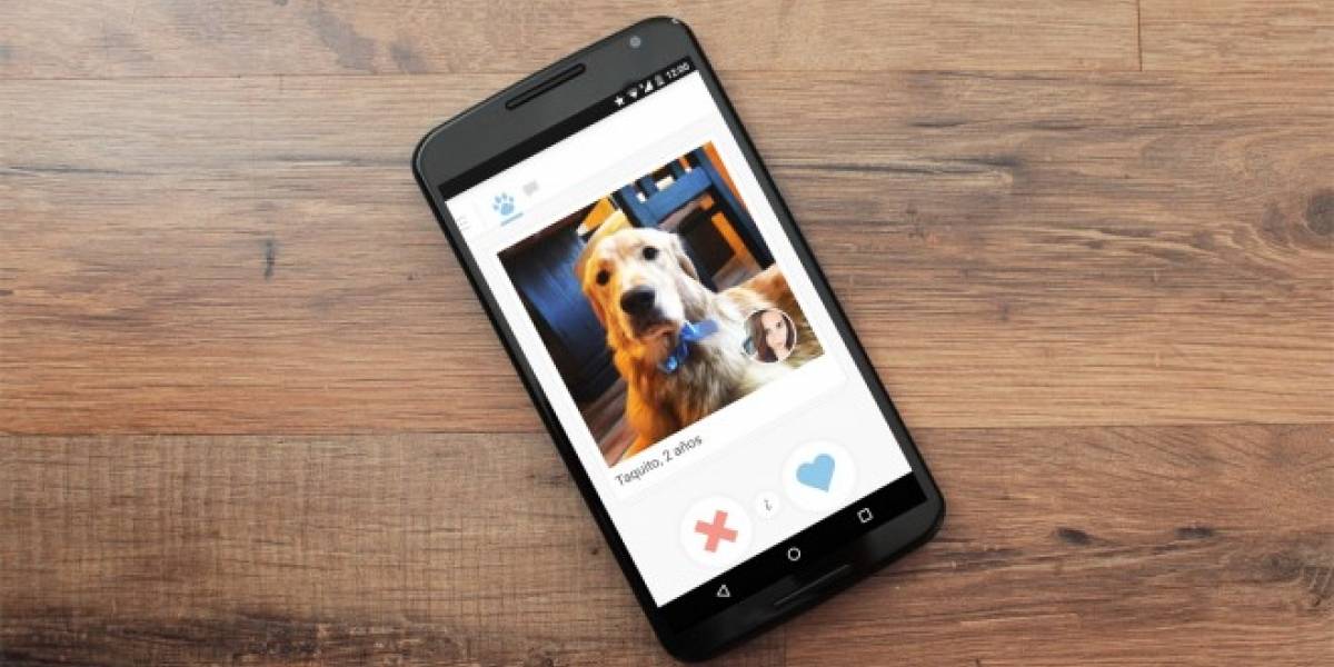 Tindog es el Tinder para los perros