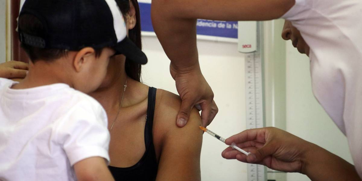 São Paulo registra o primeiro caso autóctone de febre amarela