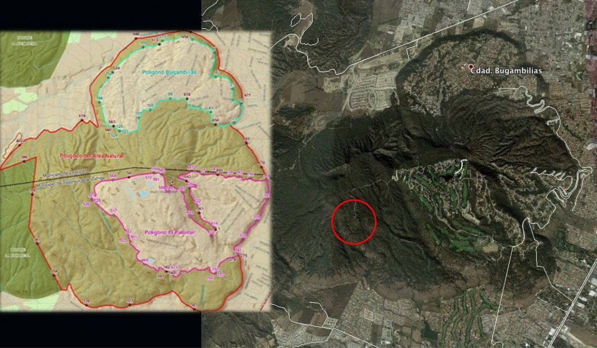 Declaran Cerro de El Tajo como zona de recuperación para protegerlo