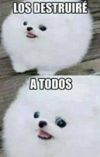 me dicen señora